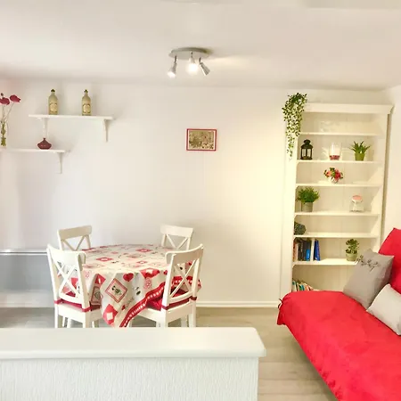 Lisela Cosy Meuble 3 Etoiles A 250m Du Centre Touristique, A Cote De La Route Des Vins Colmar