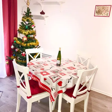 Lisela Cosy Meuble 3 Etoiles A 250m Du Centre Touristique, A Cote De La Route Des Vins Apartment Colmar