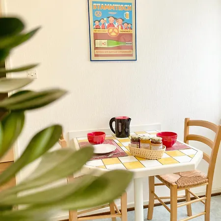Lisela Cosy Meuble 3 Etoiles A 250m Du Centre Touristique, A Cote De La Route Des Vins * Colmar