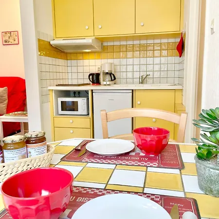 Lisela Cosy Meuble 3 Etoiles A 250m Du Centre Touristique, A Cote De La Route Des Vins * Colmar