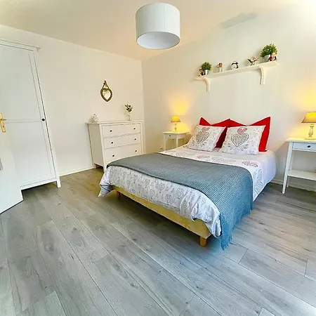 Lisela Cosy Meuble 3 Etoiles A 250m Du Centre Touristique, A Cote De La Route Des Vins * Colmar