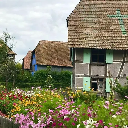 Lisela Cosy Meuble 3 Etoiles A 250m Du Centre Touristique, A Cote De La Route Des Vins * Colmar