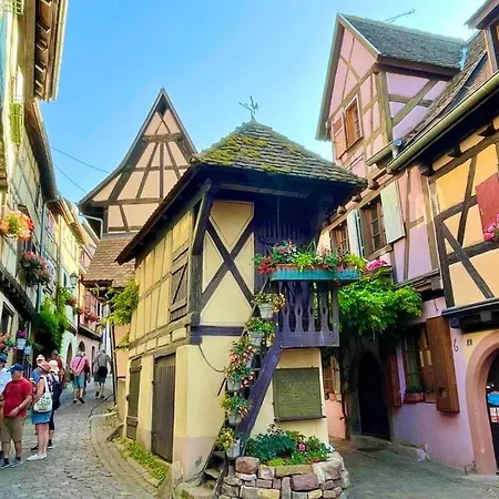 Lisela Cosy Meuble 3 Etoiles A 250m Du Centre Touristique, A Cote De La Route Des Vins * Colmar
