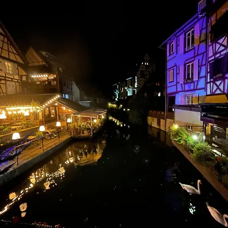 Lisela Cosy Meuble 3 Etoiles A 250m Du Centre Touristique, A Cote De La Route Des Vins Daire Colmar