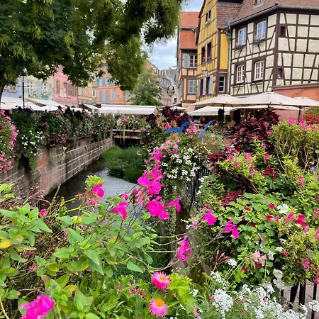 Apartment Lisela Cosy Meuble 3 Etoiles A 250m Du Centre Touristique, A Cote De La Route Des Vins Colmar